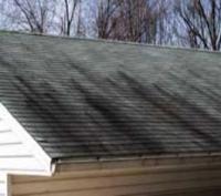 Power Washing and Soft Wash Roof Cleaning, Suffolk County NY