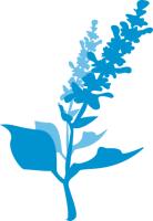Denver Property Management, Westminster, Broomfield, Arvada Property Managers